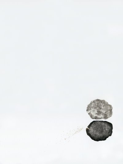 Reflection, 2014 by Bella Larsson